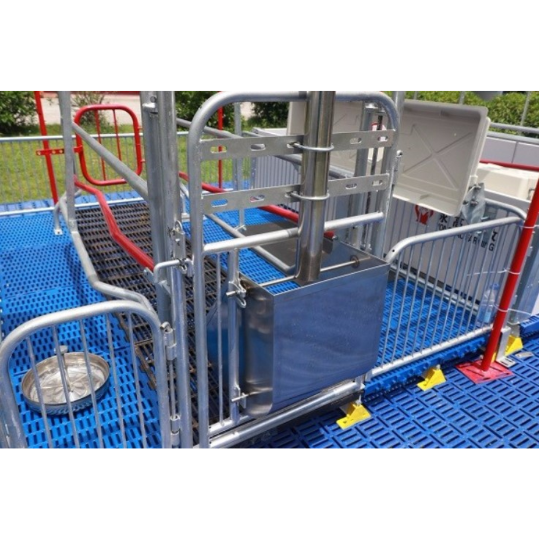 Agregar un subtítulo (10)