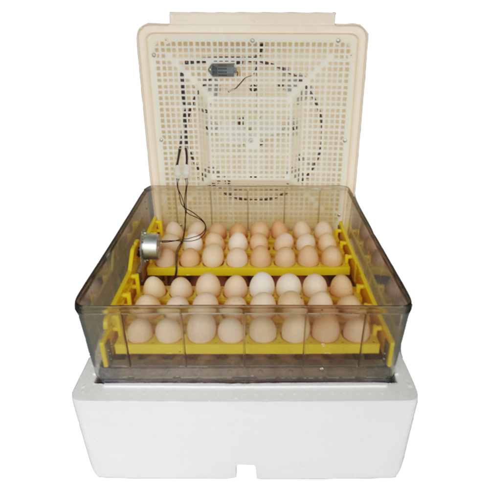 H409f49fb7b5a48338db4345993a0ff994