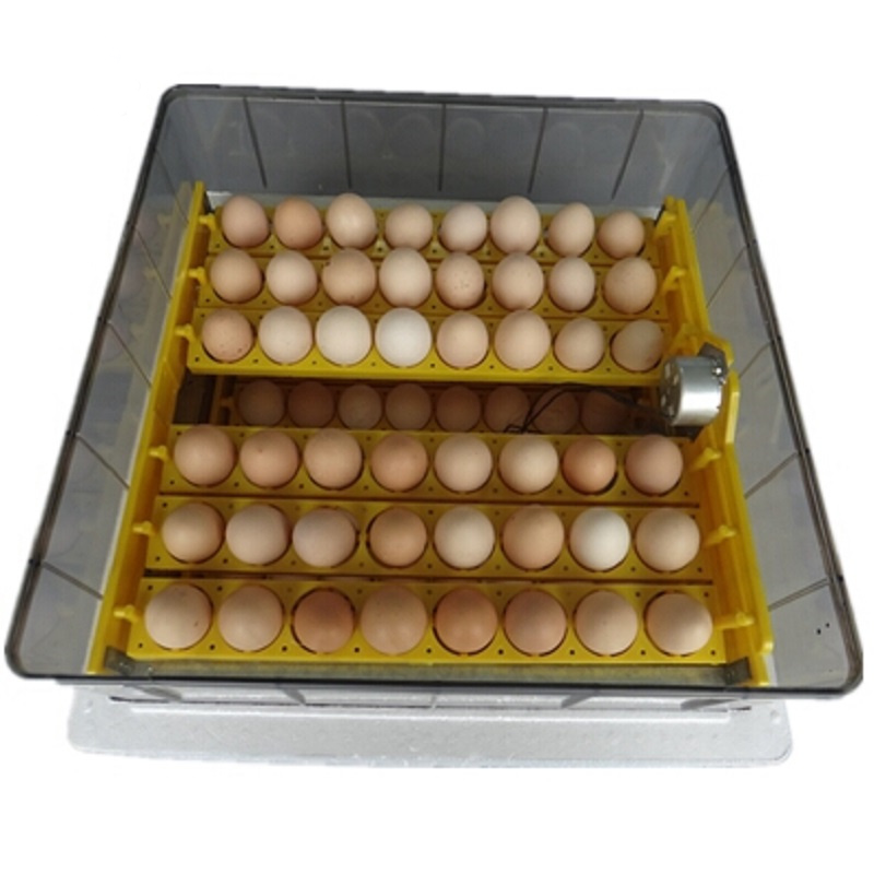 HTB1vCR5lRjTBKNjSZFwq6AG4XXaK