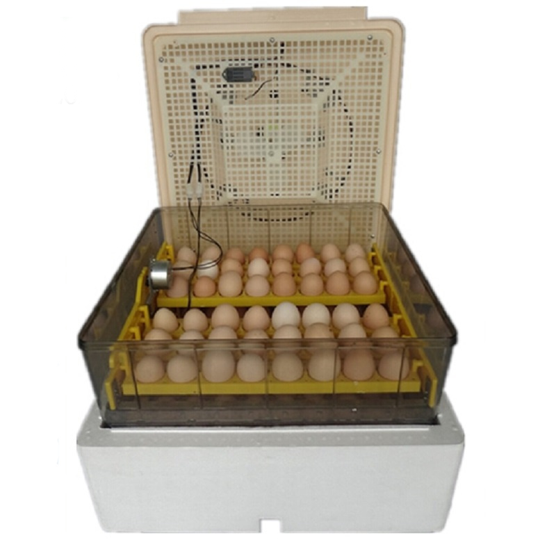 HTB1y1r2Gb1YBuNjSszeq6yblFXa8