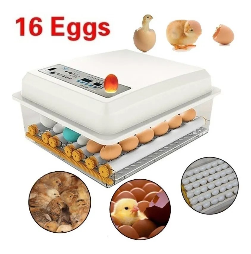 HUKOER Incubadoras Automaticas 16 Huevos Incubadoras Automaticas con Volteo Control de Temperatura y Giro Automático 12 Eggs 