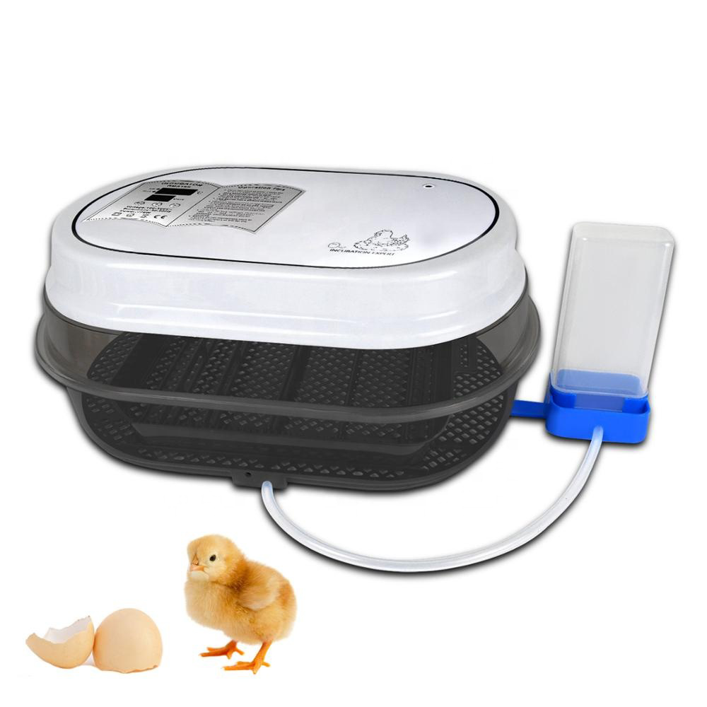 He3864b0bd7d94b318d8190b00b8268c3q