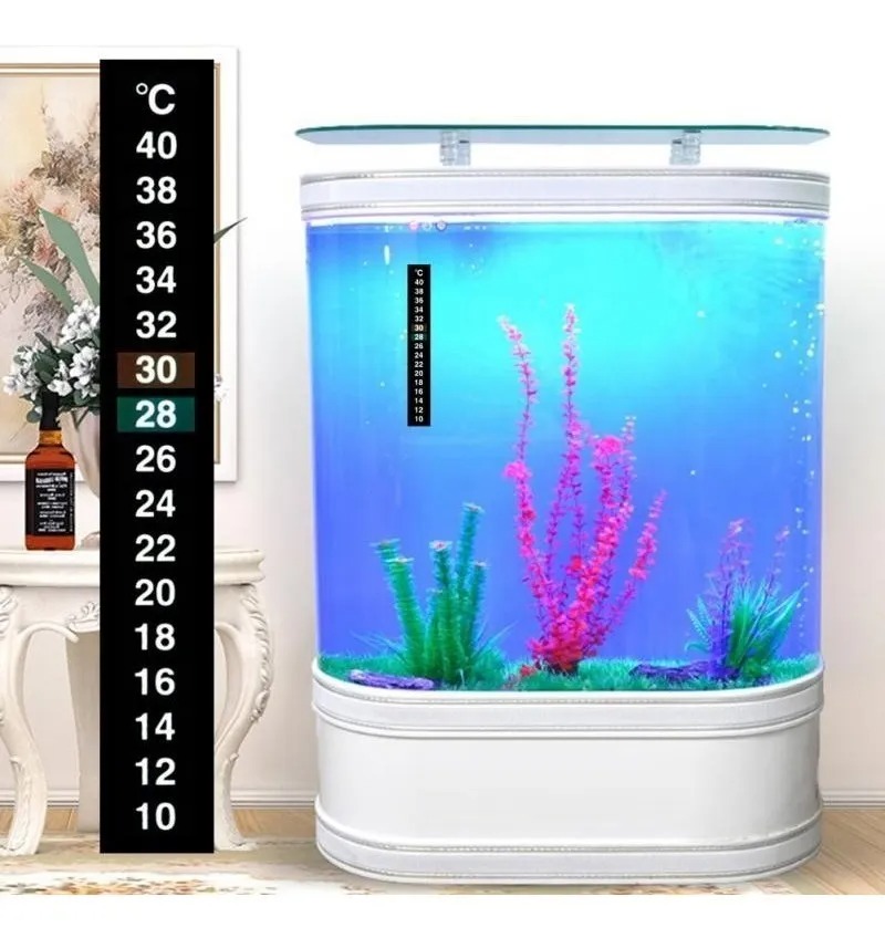 D_NQ_NP_683710-MPE48248468536_112021-F