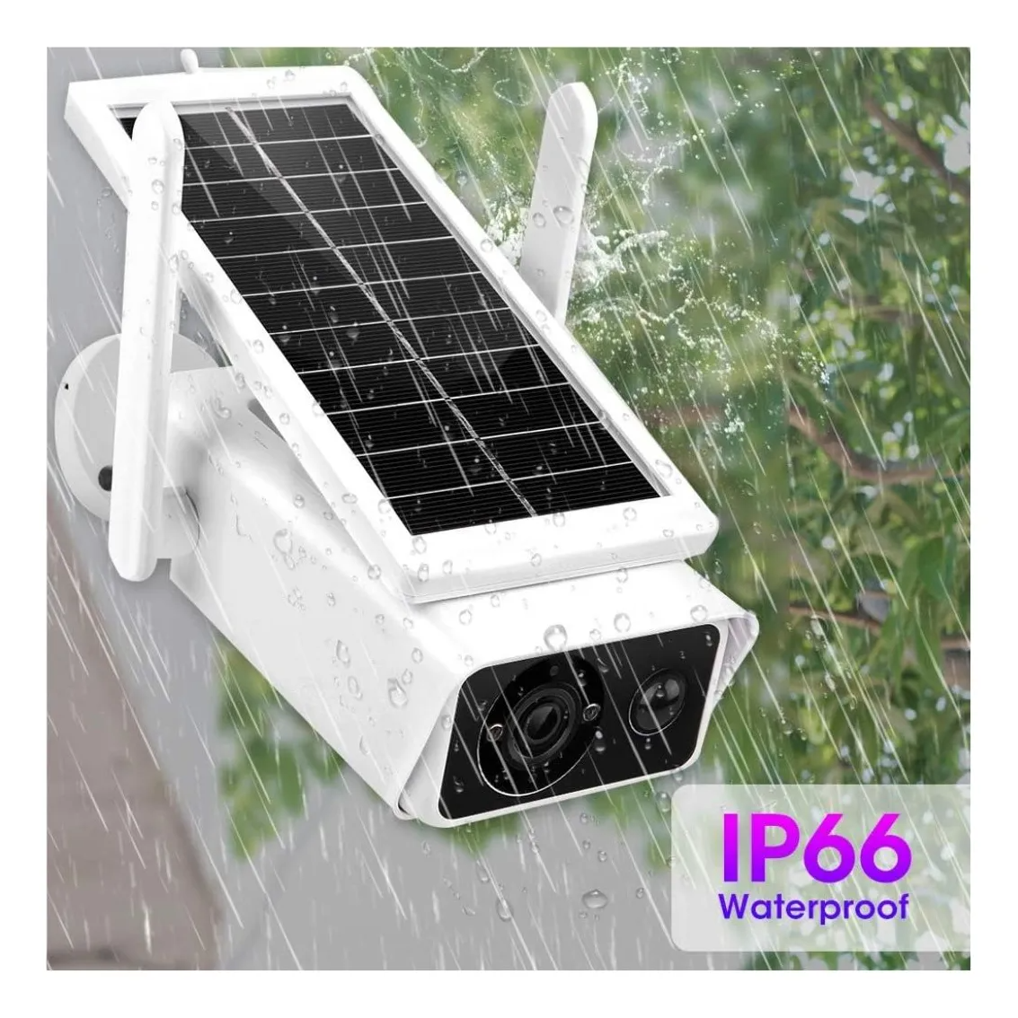 imgi_137_D_Q_NP_610641-MPE79665113356_102024-F