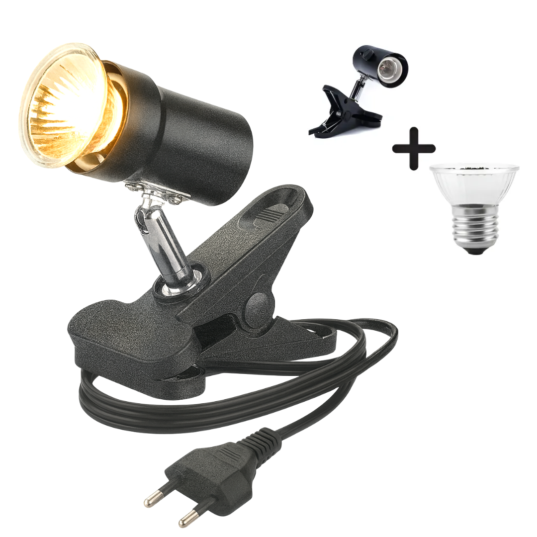 Diseño sin título (20)