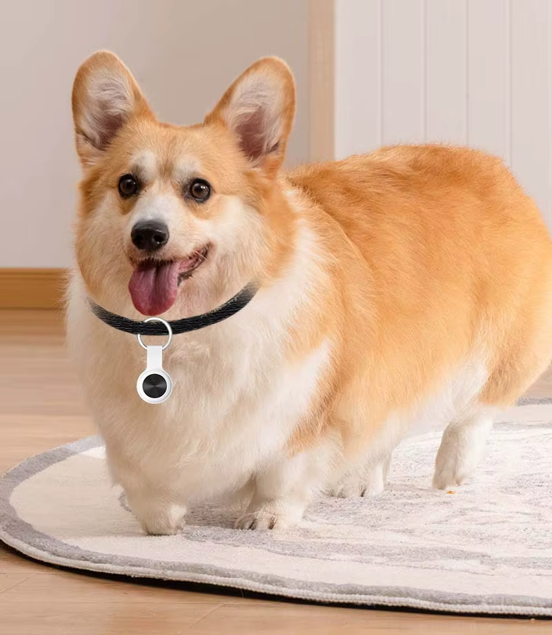 imgi_75_A71b092da18eb4dc4aa7a70e7c9dbdcb1V