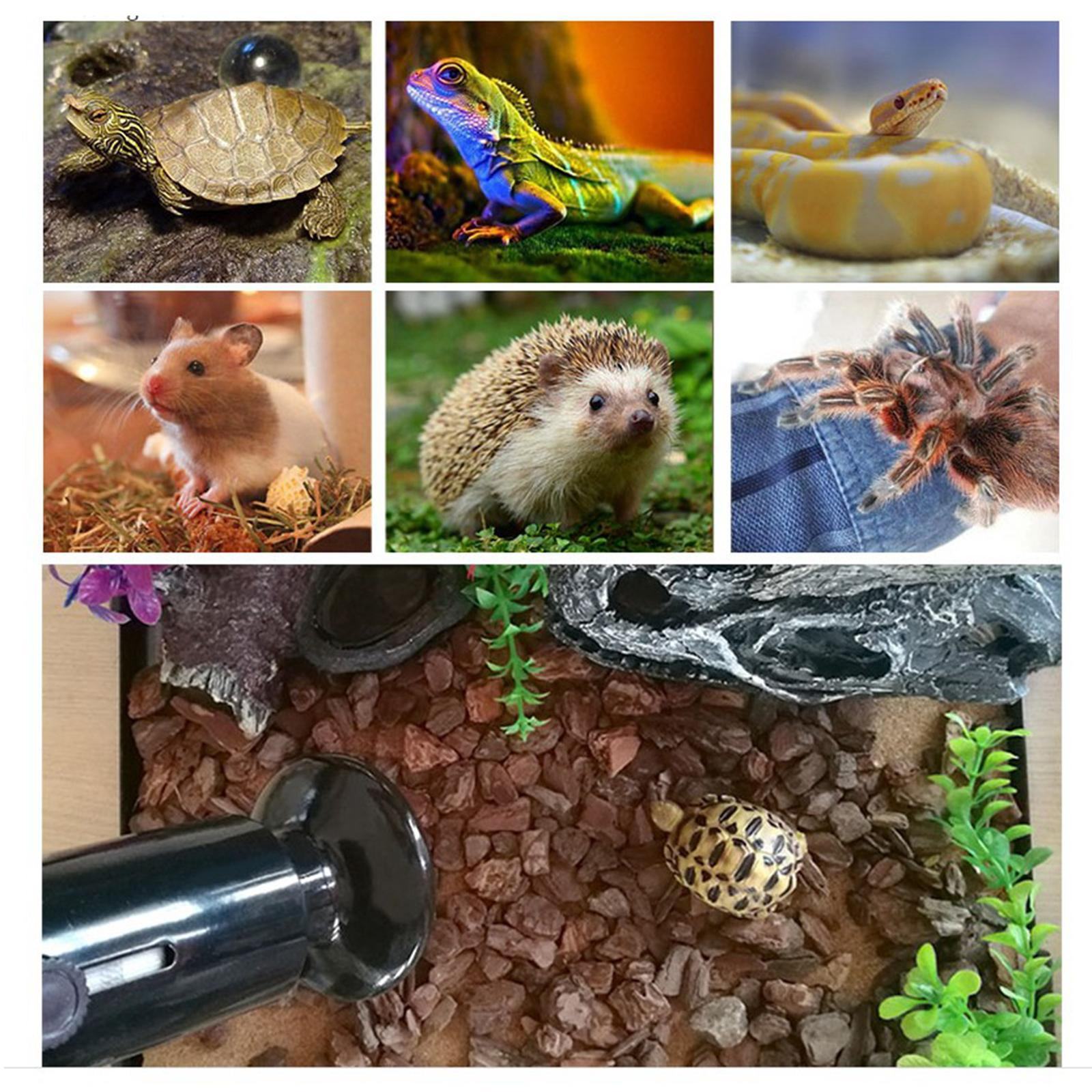 imgi_2_c6766fc3-6876-440b-ae40-06657f006f24.fe36383c9872377ed3fce5c108c40b07