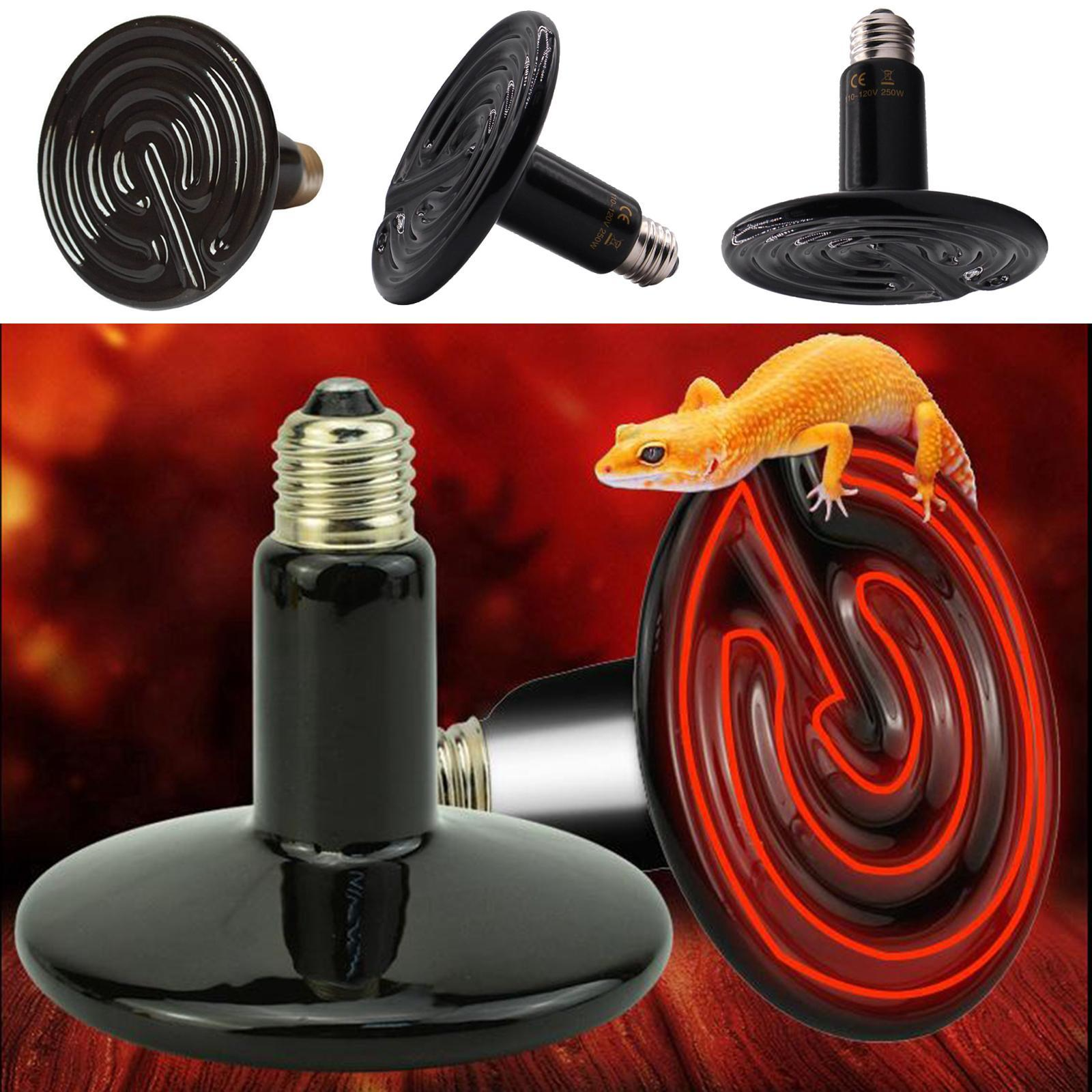 imgi_2_cbab97aa-1352-45b2-ba95-4e421c5407db.5fb7f599f4a12f4792df78423e38b2fc