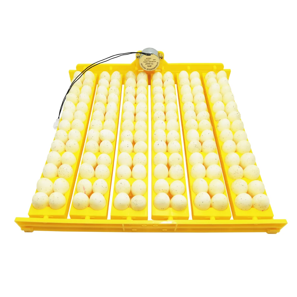 imgi_2_Hb30313cb530f400e9a5885c6dcfaf6a4K